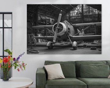 Vintage propeller plane in an old, dilapidated hangar, black and white photograph by Animaflora PicsStock