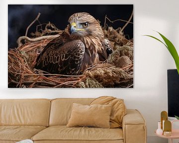 Portrait eines Greifvogel in einem Nest von Animaflora PicsStock