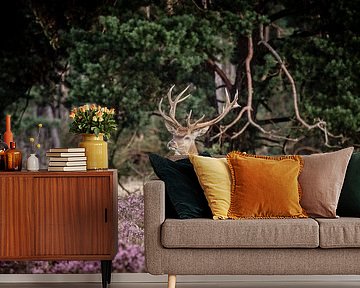 Red deer by Henrico Scheffel
