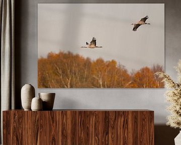 Kranichvögel im Flug mit einem Wald im Hintergrund von Sjoerd van der Wal Fotografie