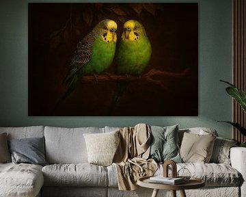 Budgerigars by Bert Quaedvlieg