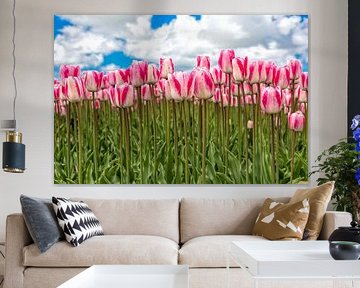 Rood-witte tulpen op steel by eric van der eijk