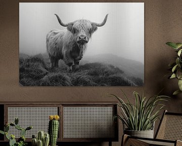 Schotse Hooglanders Mystieke zwart-wit fotokunst voor natuurliefhebbers van Felix Brönnimann