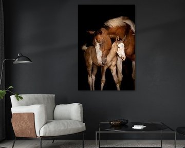 Veulen en Merrie | Equine fine art van Madinja Groenenberg