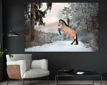 Steigerend paard in het besneeuwde landschap van Madinja Groenenberg