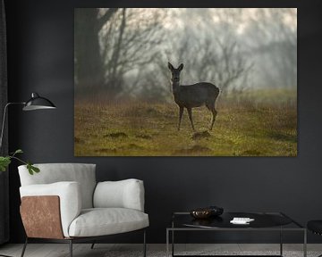 Deer by Daniel Kruse