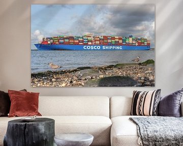 Cosco Shipping Maasvlakte Rotterdam van Arthur Bruinen