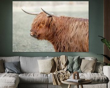 Field observation - The Silent Profile of the Scottish Highlander by Femke Ketelaar