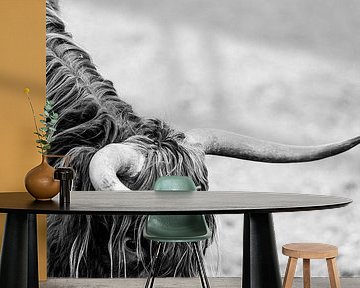 Texture of Tradition - The Scottish Highlander Profile - horns by Femke Ketelaar