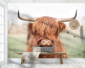 De Rustieke Glorie van het Hoogland - Schotse hooglander koe van Femke Ketelaar