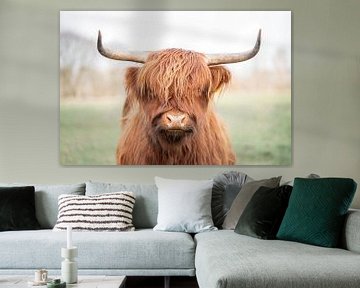 De Rustieke Glorie van het Hoogland - Schotse hooglander koe van Femke Ketelaar
