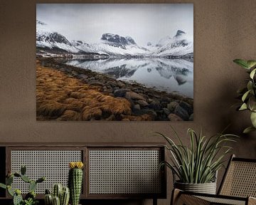 Stimmungsvoller Morgen in den norwegischen Fjorden von Erel Turkay