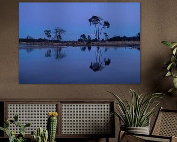 Reflection Loonse and Drunense Dunes by Zwoele Plaatjes