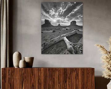 Lichte pauze bij Monument Valley van fernlichtsicht
