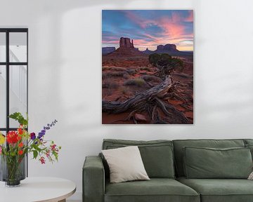 Monument Valley in de ontwaking van fernlichtsicht
