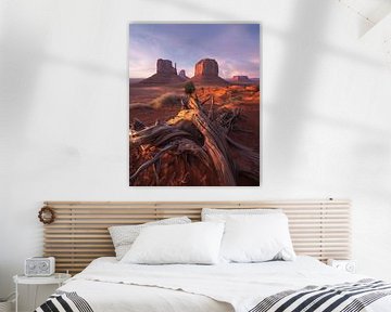 Gouden horizon, Monument Valley van fernlichtsicht