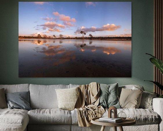 Aperçu de la chambre