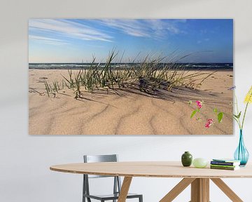 Sandwellenpanorama von Ostsee Bilder