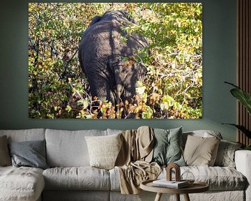 Eléphant | Parc Kruger | Afrique du Sud sur Claudia van Kuijk