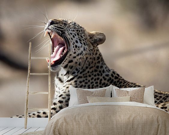 Aperçu de la chambre