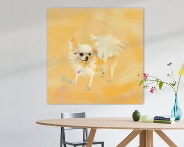 Hund Chihuahua orange von Go van Kampen