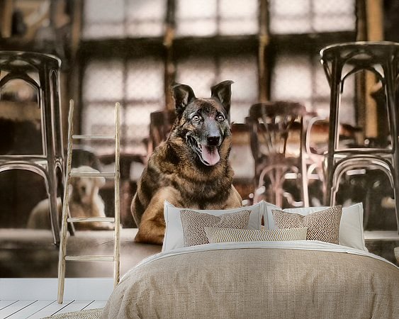 Voorbeeld van het werk in een kamer