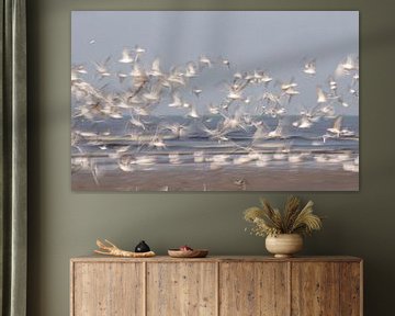 Come fly with me (Flying seagulls on the coast, photographed with long shutter speed) by Birgitte Bergman