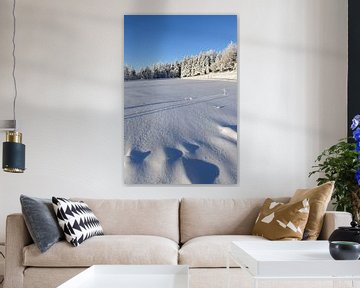 The recreation area in winter by Claude Laprise