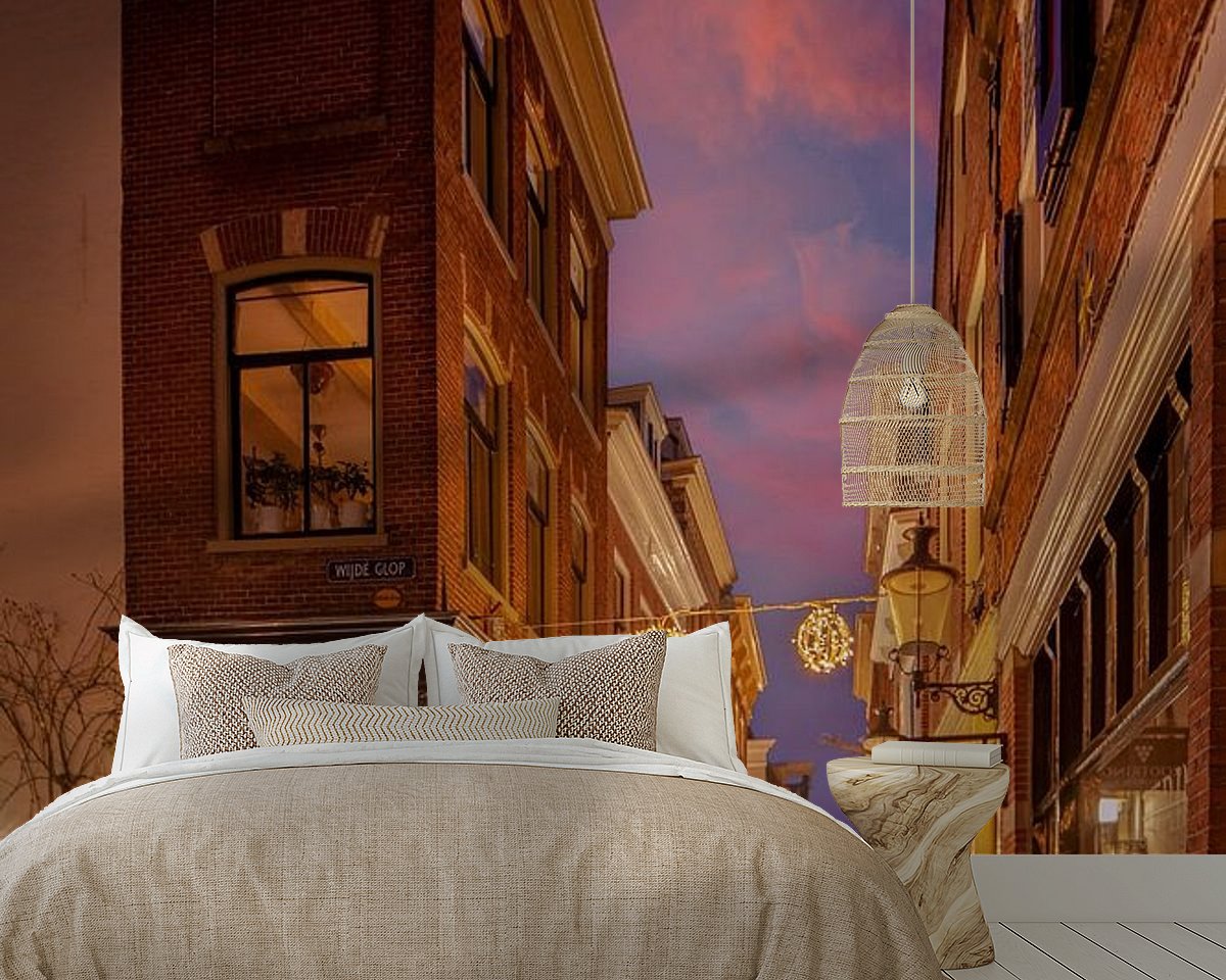Aperçu de la chambre