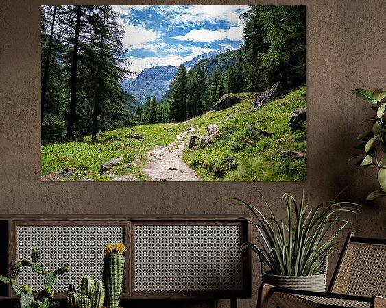 Aperçu de la chambre