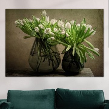 Still life white tulips