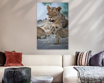 Lioness with young by Tom Zwerver