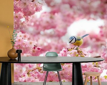Blue tit in the blossom by Tim Rensing