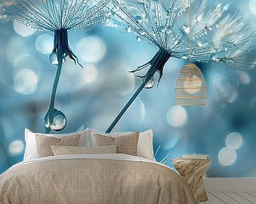 dewdrops on dandelions by Black Coffee