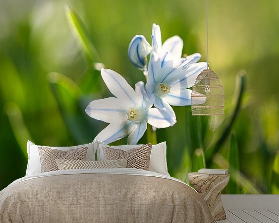 Raumvorschau