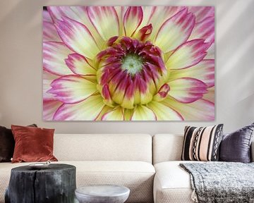 Dahlia yellow green and pink by Gerda de Voogd