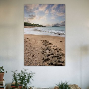 Plage de Clugny, beach in the Caribbean Guadeloupe