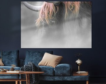 Hooglander in de mist, mooi als art frame of op canvas van Josine Claasen