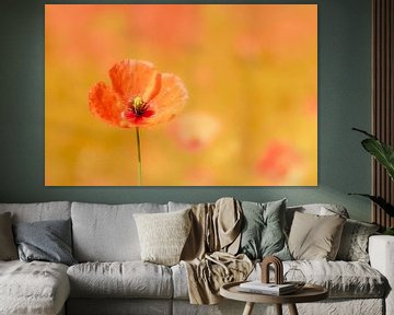 Poppy 2, magnifique en impression d'art ou sur acrylique sur Josine Claasen