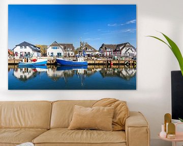 Fishing boats in the harbour of Vitte on the island of Hiddensee