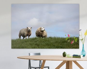 Two texel sheep on a dike with pile clouds by W J Kok