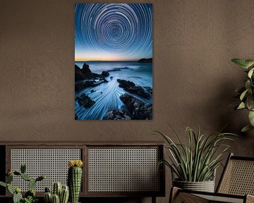 Un monde marin enrobé d'or