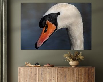 Portret van een witte kuifzwaan van Ulrike Leone