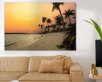 Plage de Sainte Anne, plage des Caraïbes en Guadeloupe sur Fotos by Jan Wehnert