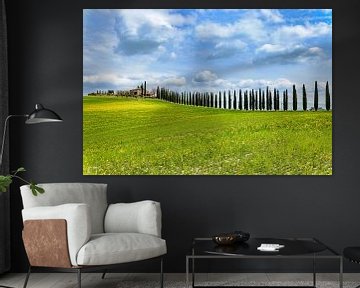 Spring in the Val d'Orcia by Dirk Rüter