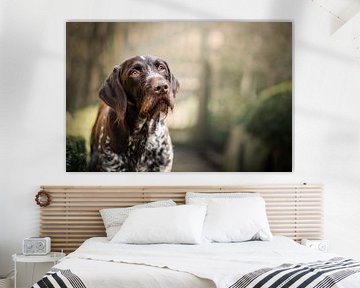 Portret van bruin schimmel Duitse staande hond van Elisabeth Vandepapeliere