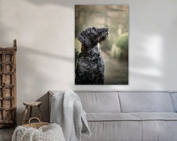 Portret van zwart schimmel Duitse staande hond van Elisabeth Vandepapeliere