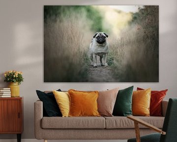 Pug on a path, among tall grasses, near the forest by Elisabeth Vandepapeliere