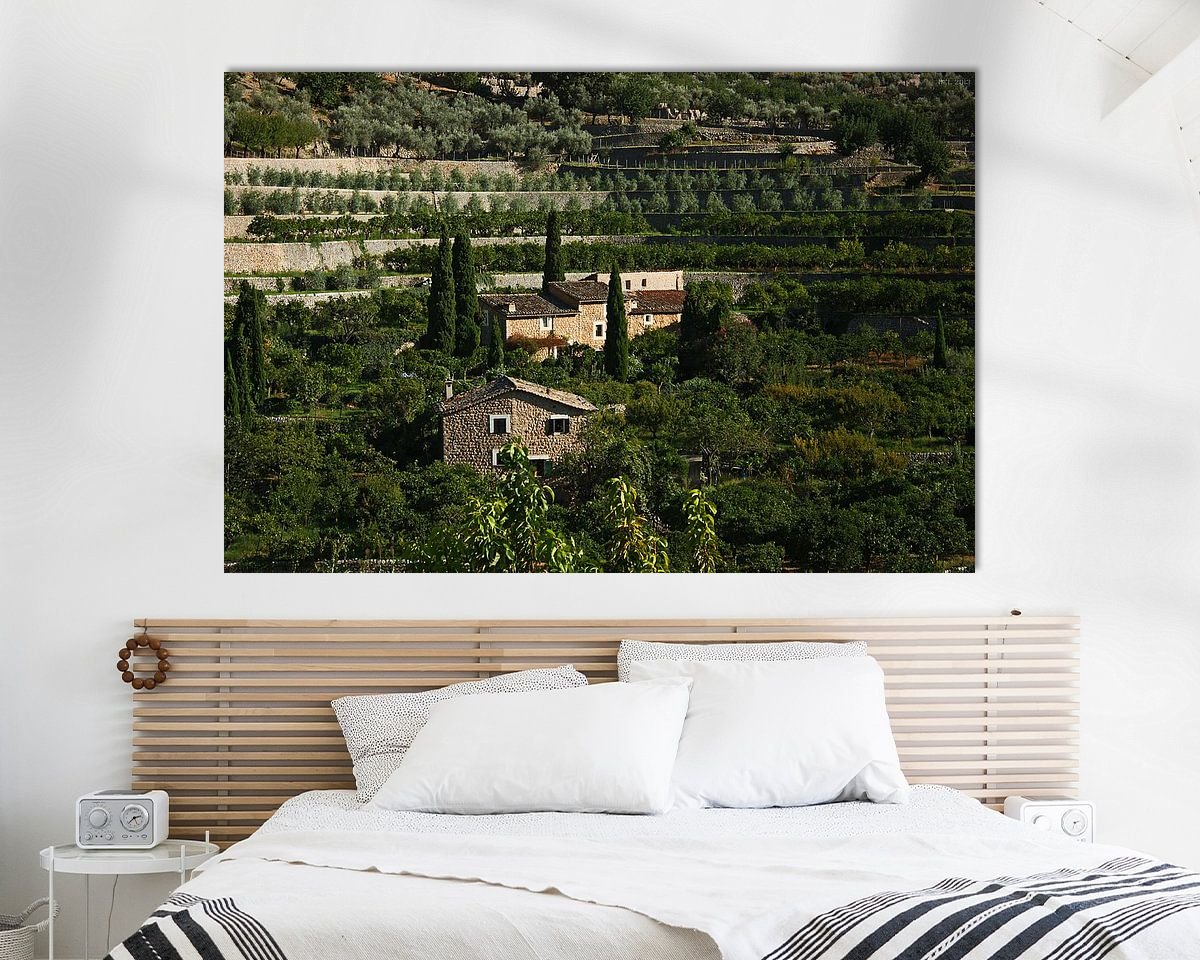 Aperçu de la chambre