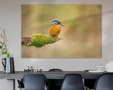 Kingfisher by Lia Hulsbeek Brinkman